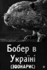 Бобер в Україні