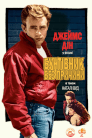 Бунтар без ідеалу